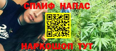 шишки Кандалакша