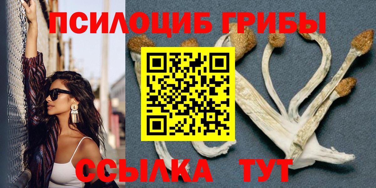 Псилоцибиновые грибы мухоморы Лесной