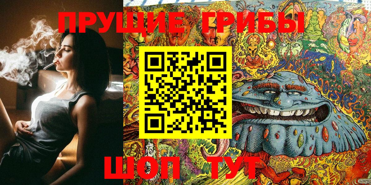 Лесной  Псилоцибиновые грибы GOLDEN TEACHER  где купить наркоту  Вход с VPN 