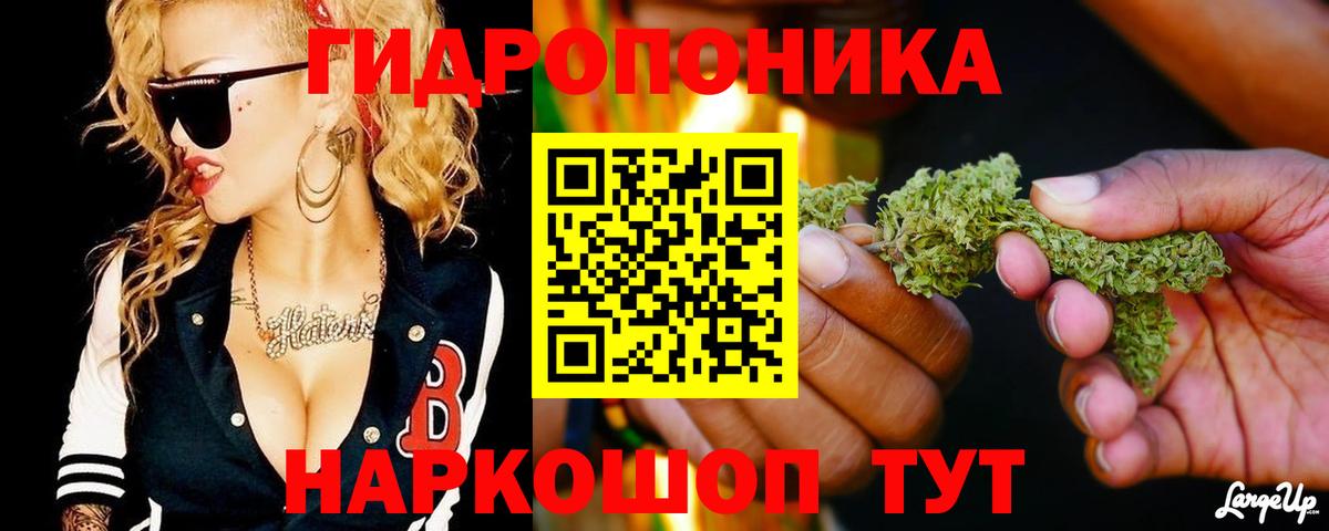МАРИХУАНА VHQ  Марихуана тримм  Вход с VPN  Лесной 